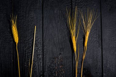 Yatay bileşim. Buğday kulaklı, siyah tahtalı bir yaşam. Aile mutluluğu kavramı
