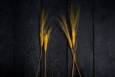 Yatay bileşim. Buğday kulaklı, siyah tahtalı bir yaşam. Aile mutluluğu kavramı