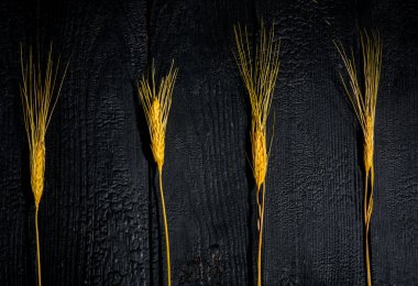 Yatay bileşim. Buğday kulaklı, siyah tahtalı bir yaşam. Aile mutluluğu kavramı