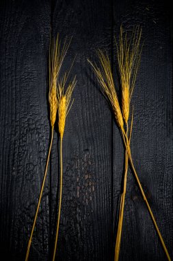 Yatay bileşim. Buğday kulaklı, siyah tahtalı bir yaşam. Aile mutluluğu kavramı