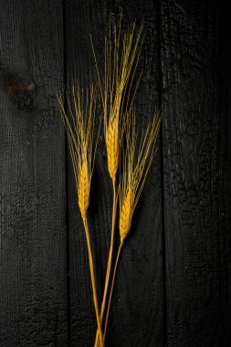  dikey bileşim hala yaşam, arka planda siyah yanmış tahtaların üzerinde üç buğday kulağı.