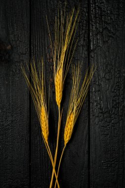 dikey bileşim hala yaşam, arka planda siyah yanmış tahtaların üzerinde üç buğday kulağı.