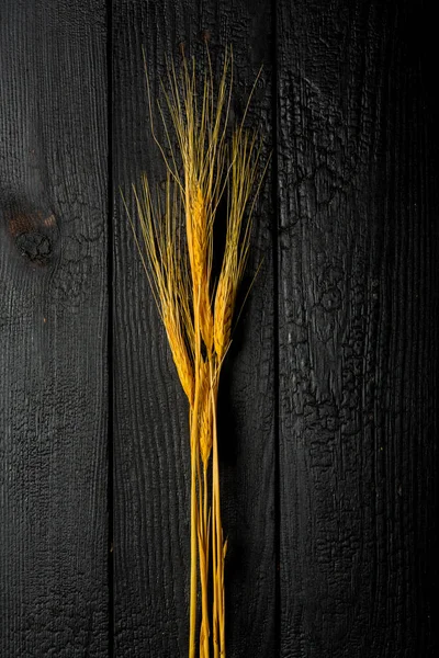 dikey bileşim, buğday kulaklarıyla siyah yanmış tahtalar üzerinde yaşam devam ediyor.