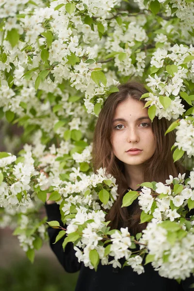 Portrait Brunette Girl Who Stands Tree White Apple Blossoms Looks — Stock fotografie