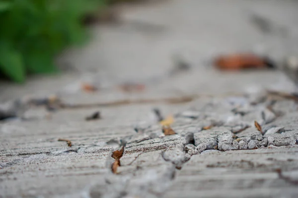 Kırık beton yol desen