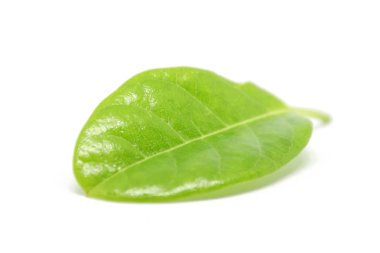 Beyaz arkaplanda bırakır