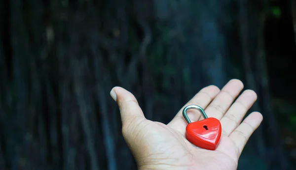 Red keys that are heart shaped, ideas, love, Valentine 's Day — стоковое фото