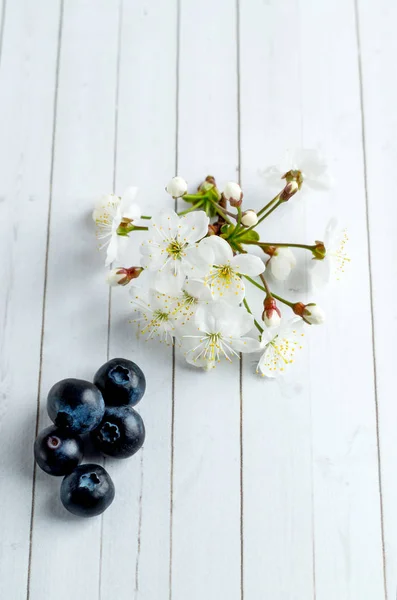 Biały kwiat wiśni i jagody zbliżenie — Zdjęcie stockowe