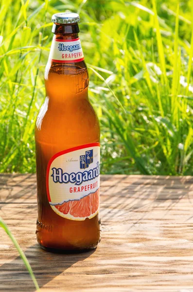 Saint-Petersburg, Rusya, 2 Haziran 2019 Taze yaz yeşil çim arka planda bira Hoegaarden Greyfurt şişe