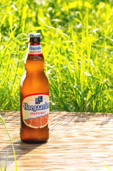 Saint-Petersburg, Rusya, 2 Haziran 2019 Taze yaz yeşil çim arka planda bira Hoegaarden Greyfurt şişe