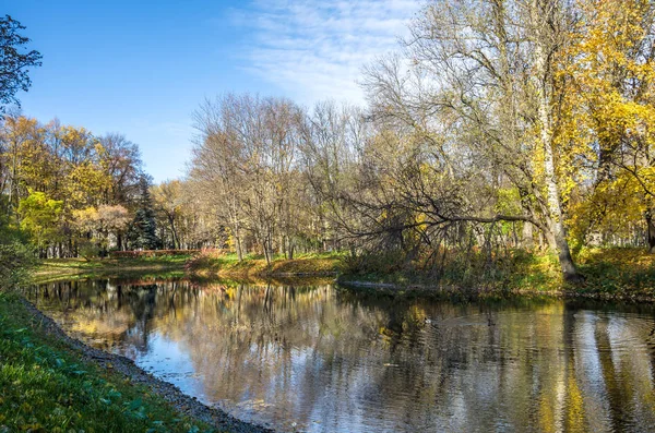 Şehir parkında güneşli bir günde altın sonbahar ağaçları
