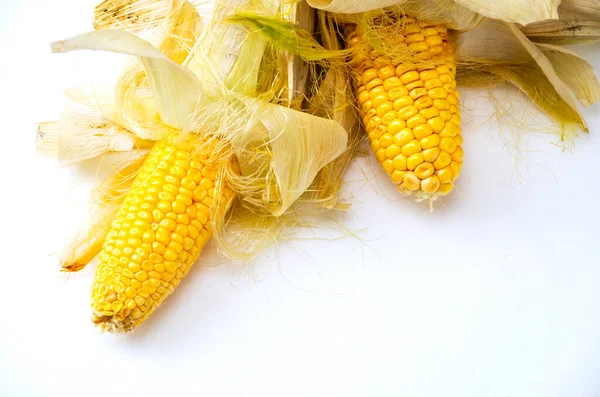 Rå mais med blad på hvit bakgrunn som ligger tett inntil – stockfoto