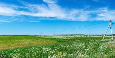 Elektrik direkleri ve mavi gökyüzü olan yeşil alan. Panorama çekimi.