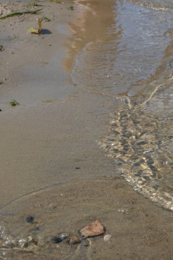 Kumsal ve dalgalar. Metin için yer.