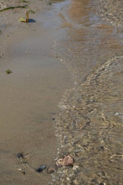 Kumsal ve dalgalar. Metin için yer.