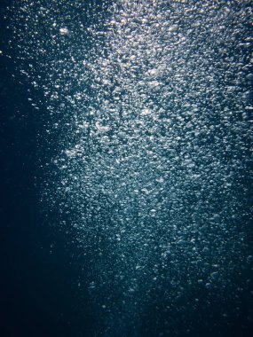 Scooba dalgıç kabarcıklar yaklaşan bir derin deniz üzerinden