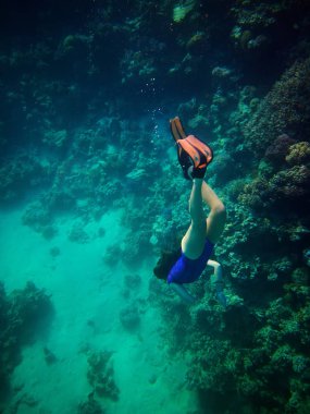 Red Sea'deki/daki genç kadın yüzücü serbest dalış sualtı fotoğraf