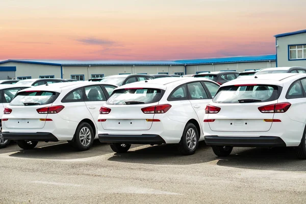 Nieuwe voertuigen in voorraad close-up foto met kleurcorrectie. Gloednieuwe auto's te koop in een rij. Auto industrie. — Stockfoto