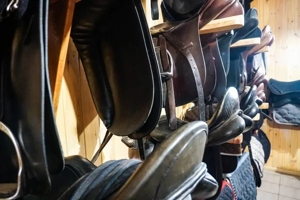 Tack room with Western saddles, bridles and gear
