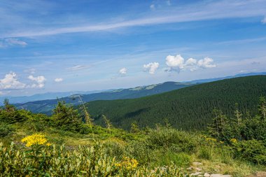Carpatian yaz manzarası. Mavi gökyüzü arka planında orman olan dağ yolu.
