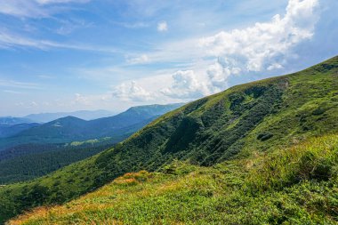 Carpatian yaz manzarası. Mavi gökyüzü arka planında orman olan dağ yolu.