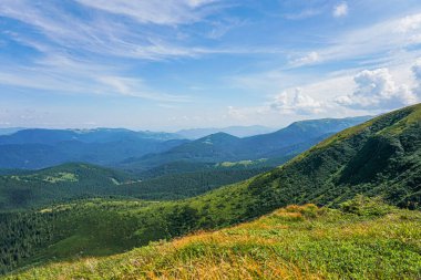Carpatian yaz manzarası. Mavi gökyüzü arka planında orman olan dağ yolu.