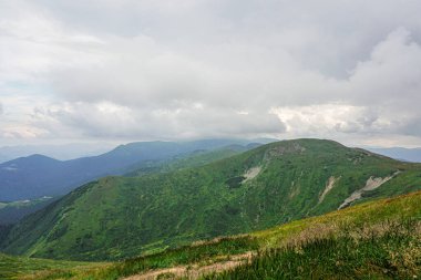 Carpatian yaz manzarası. Mavi gökyüzü arka planında orman olan dağ yolu.