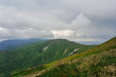 Carpatian yaz manzarası. Mavi gökyüzü arka planında orman olan dağ yolu.