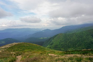 Carpatian yaz manzarası. Mavi gökyüzü arka planında orman olan dağ yolu.