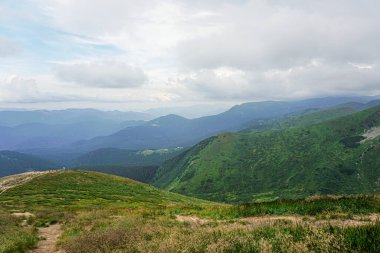 Carpatian yaz manzarası. Mavi gökyüzü arka planında orman olan dağ yolu.