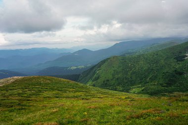 Carpatian yaz manzarası. Mavi gökyüzü arka planında orman olan dağ yolu.