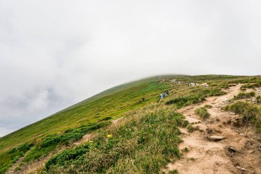 Carpatian yaz manzarası. Mavi gökyüzü arka planında orman olan dağ yolu.