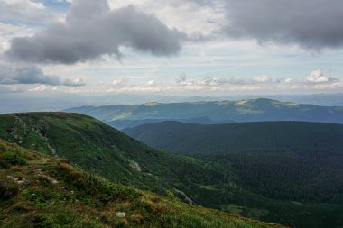 Carpatian yaz manzarası. Mavi gökyüzü arka planında orman olan dağ yolu.