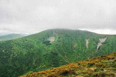 Carpatian yaz manzarası. Mavi gökyüzü arka planında orman olan dağ yolu. Panorama