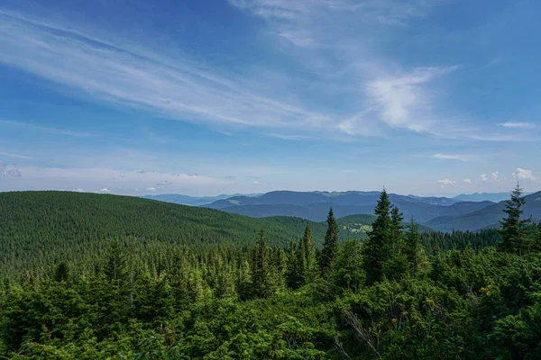 Paisagem Verão Carpatiana Caminho Montanha Com Floresta Fundo Céu Azul — Fotografia de Stock
