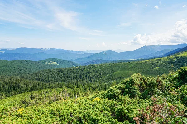 Paisagem Verão Carpatiana Caminho Montanha Com Floresta Fundo Céu Azul — Fotografia de Stock