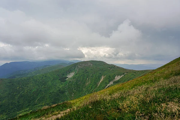 Carpatian yaz manzarası. Mavi gökyüzü arka planında orman olan dağ yolu.
