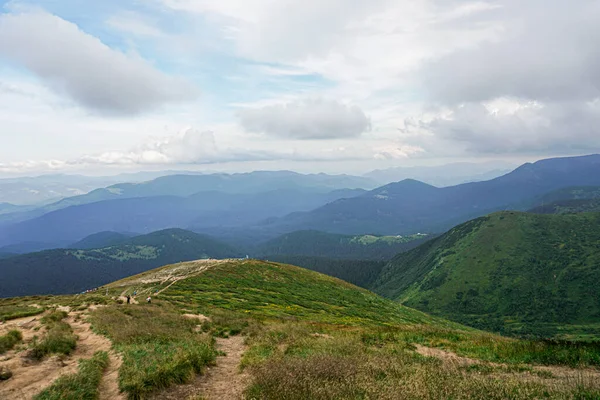 Carpatian yaz manzarası. Mavi gökyüzü arka planında orman olan dağ yolu.