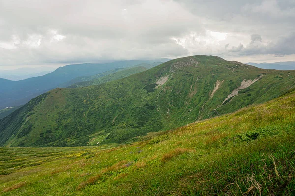 Carpatian yaz manzarası. Mavi gökyüzü arka planında orman olan dağ yolu.
