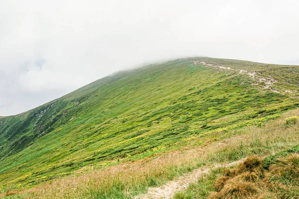 Carpatian yaz manzarası. Mavi gökyüzü arka planında orman olan dağ yolu.