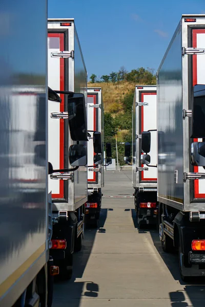 White Trucks Stand Line Front View — Stock Photo, Image