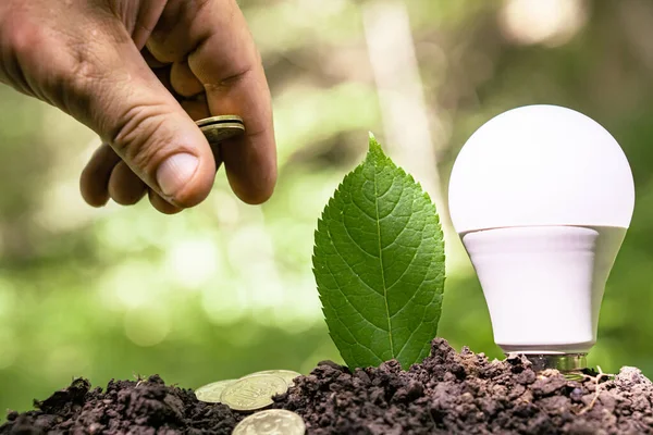 Een Man Gooit Munten Een Combinatie Van Lampen Ansichtkaarten Met — Stockfoto