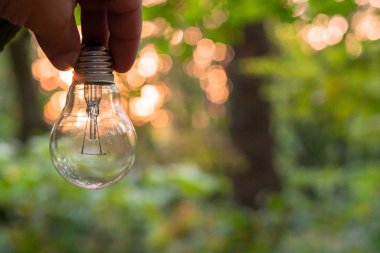 Orman ve ampul. Çevre koruma ve küresel ısınma kavramları, enerji korunumu.