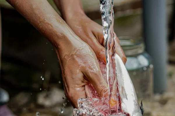Kobiety Sprzątają Myją Ryby Rękami — Zdjęcie stockowe