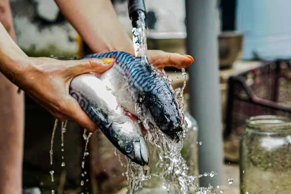 Las Mujeres Limpieza Lavado Pescado Con Las Manos — Foto de Stock