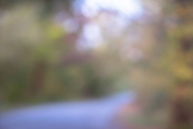 Bokeh sonbahar parkı geçmişi. Parlak sarı ve kırmızı güneşli ağaçlar arka planda düşer.