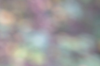 Bulanık sonbahar ormanı arka planında küçük yağmur damlaları, sonbahar orman dokusu