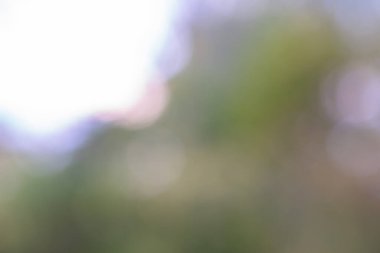 Bulanık sonbahar ormanı arka planında küçük yağmur damlaları, sonbahar orman dokusu