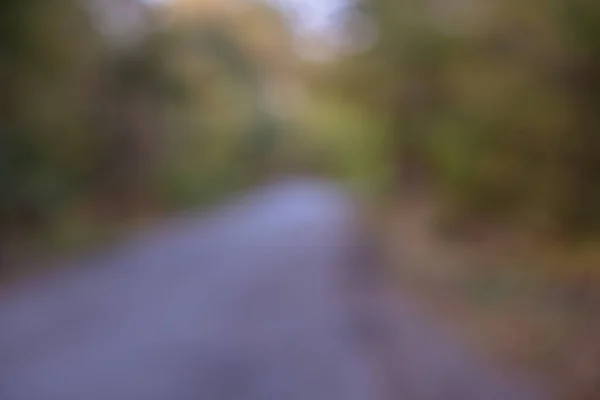 Bokeh Herfst Park Achtergrond Heldere Gele Rode Zonnige Bomen Vallen — Stockfoto