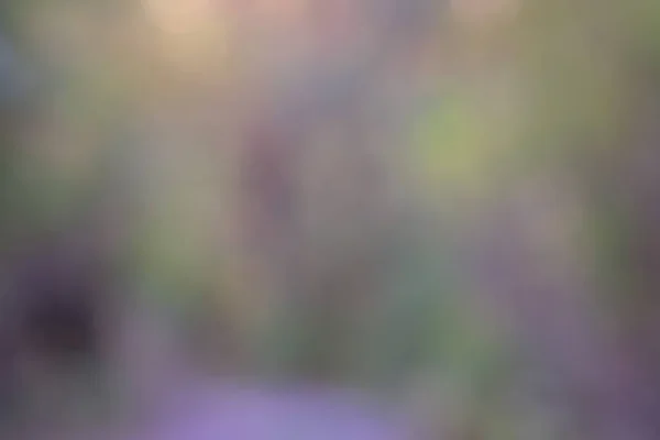 Zamazane Jesienne Leśne Tło Bokeh Małymi Kroplami Deszczu Jesienna Tekstura — Zdjęcie stockowe